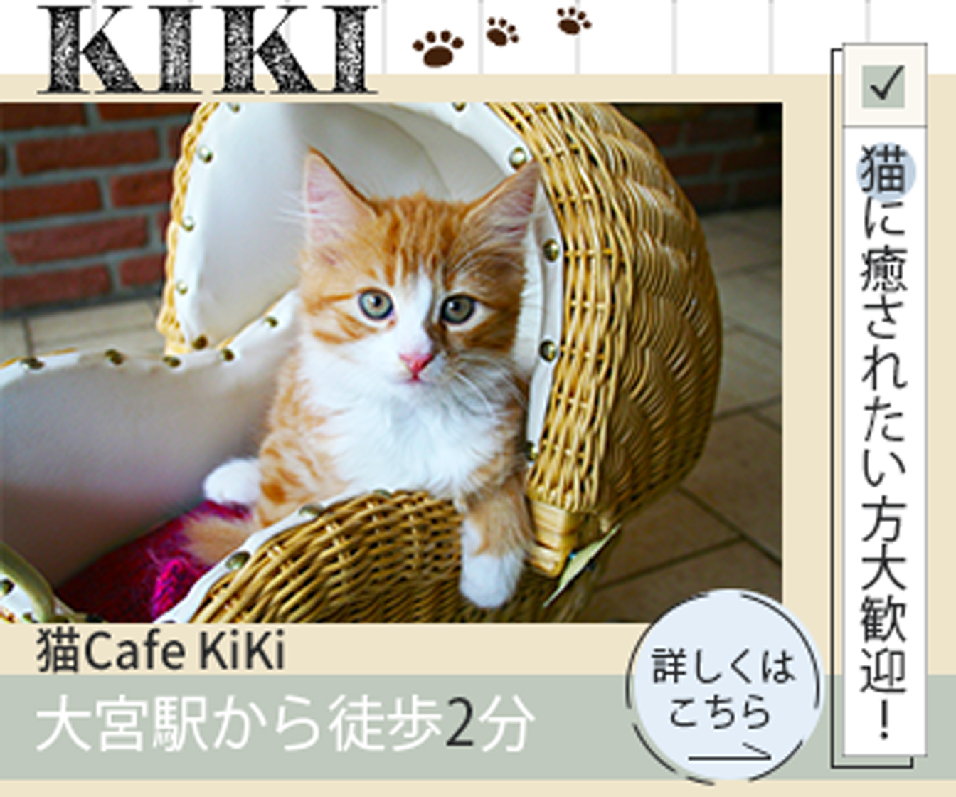 banner_cat