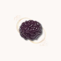 かのこ